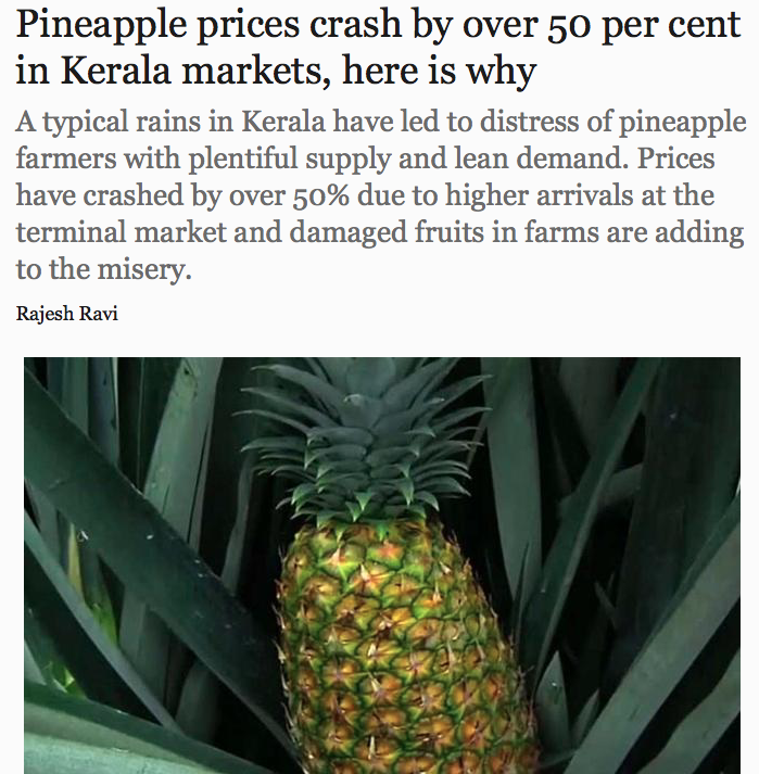 Pineapple prices crashed